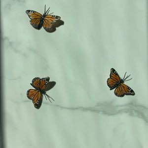 Meet your Posher, Avi